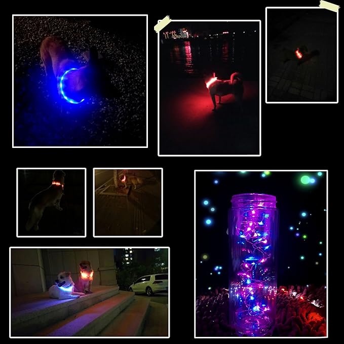 LED Dog Collar,USB Rechargeable Glowing Dog Collars, Light Up Collar Improved Pet Safety &Visibility at Night, 3 Flashing Modes,Water-Resistant Lighted Collar Fits For Small Medium Large Dogs