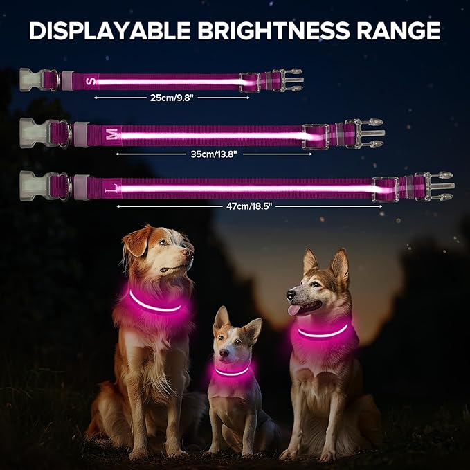 Light Up Dog Collar, Adjustable USB Rechargeable Glow in Dark Dog Collar ，Waterproof Dog Collars for Medium Dogs (Pink, Medium)