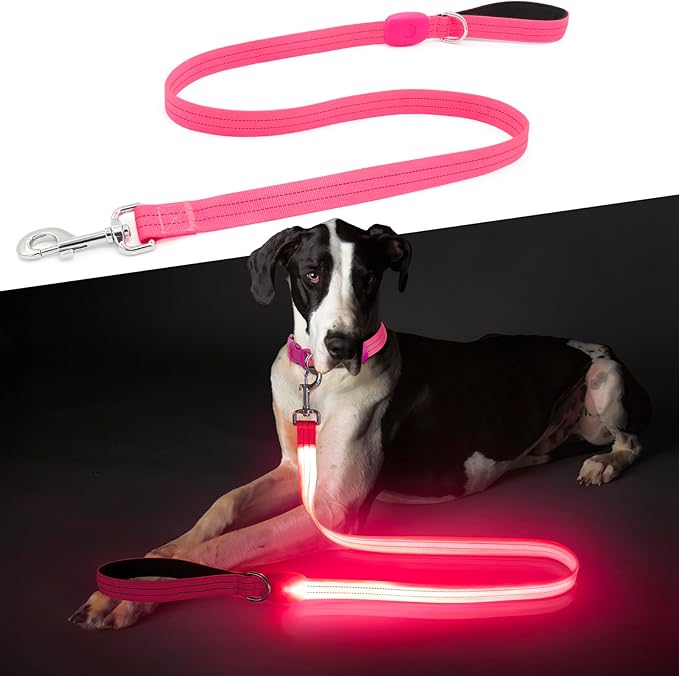 LED Dog Leash, Light Up Dog Leash 4 Ft USB Rechargeable Waterproof, Nylon Reflective Leashes with Padded Handle for Dogs Night Walking Light, Safety Glow in The Dark for Large Medium Pets (Pink)