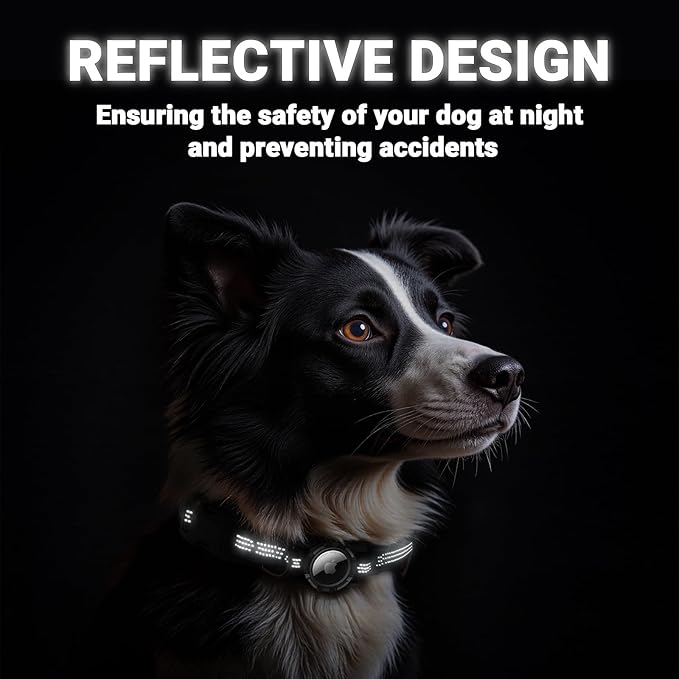 AirTag Dog Collar, IP68 Waterproof Integrated Air Tag Dog Collars with Reflective, Ultra-Durable, Comfortable Padded, Heavy Duty Dog Collars for Small Medium Large Dogs, M (12.6"-17.1"), Black