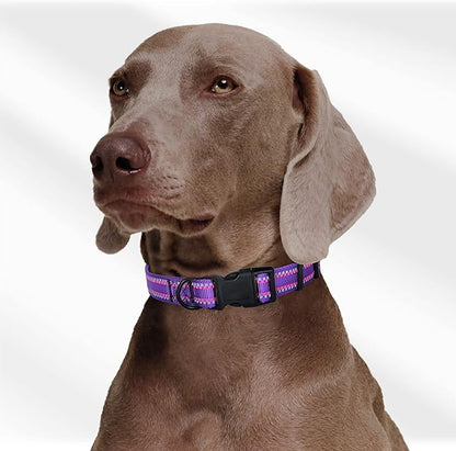 Mile High Life Reflective Dog Collar, Basic Dog Collars Adjustable Quick Release, Soft Nylon Pet Collar with Metal D-Ring for Small Medium Large Dogs (Purple, M Neck13-17")