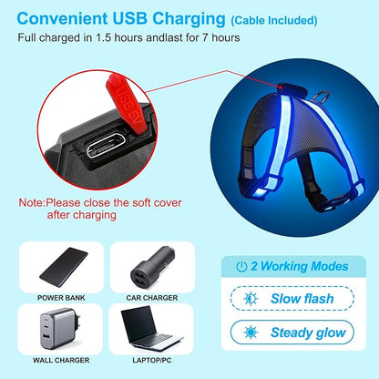 Visinite LED Dog Harness, USB Rechargeable Light Up Dog Vest, 2 Illuminate Modes Glow in The Dark Dog Harness, Adjustable Lighted Pet Harness Light for Night Walking Safety(Blue, L)