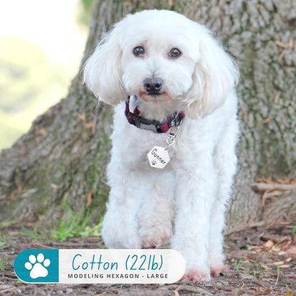 Ultra Joys Dog Tags Personalized for Pets - Hollow Paw Custom Pet ID Tag - Engraved Dog Tag for Small, Large Dogs - Small Hexagon in Silver