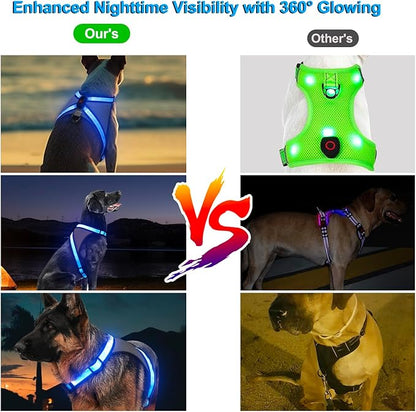 Visinite LED Dog Harness, USB Rechargeable Light Up Dog Vest, 2 Illuminate Modes Glow in The Dark Dog Harness, Adjustable Lighted Pet Harness Light for Night Walking Safety(Blue, L)