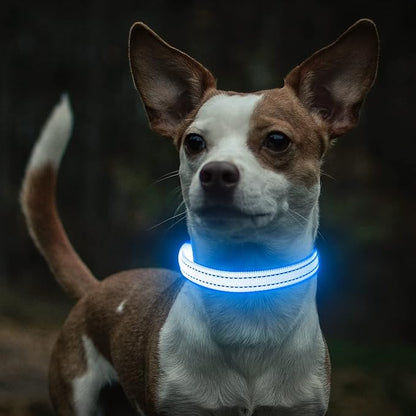 Light Up Dog Collar - Rechargeable Puppy Collar Glow in The Dark LED Dog Collar Lights for Small Dogs & Cats (X-Small, Blue)