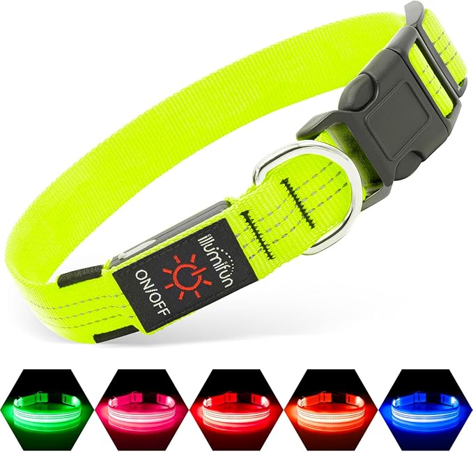 Illumifun Light Up Dog Collar - USB Rechargeable LED Dog Collar, Adjustable Lighted Pet Safety Collar for Night Walking (Green?? Small)