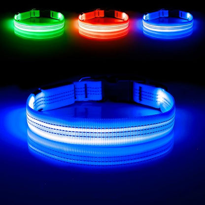 Illumifun LED Dog Collar - USB Rechargeable Dog Light Up Collar, Reflective Pet Collar Light Glow in The Dark (Blue?? Medium)