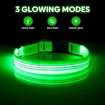 Illumifun Light Up Dog Collar - USB Rechargeable LED Dog Collar, Adjustable Lighted Pet Safety Collar for Night Walking (Green?? Small)