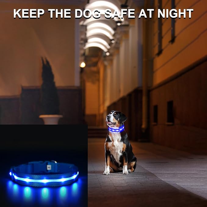 CHUKCHI LED Dog Collar Rechargeable,Waterproof Flashing Collar,Light Up Glow Collar, Adjustable Soft Safety Light Up for Small Medium Large Dogs Walking Camping at Night (Blue-M)