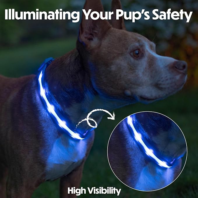 Light Up Dog Collar ??Reflective, Adjustable & Rechargeable Electronic Glow Pet Collars ??Bright, Comfortable, High Visibility LED Dog Collar for Night Safety, Outdoor Walk, Flashing Fun, Blue, Medium