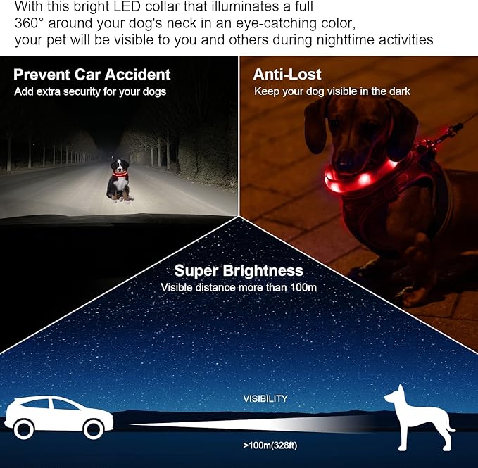 CHUKCHI LED Dog Collar Rechargeable,Waterproof Flashing Collar,Light Up Glow Collar, Adjustable Soft Safety Light Up for Small Medium Large Dogs Walking Camping at Night (Red-M)
