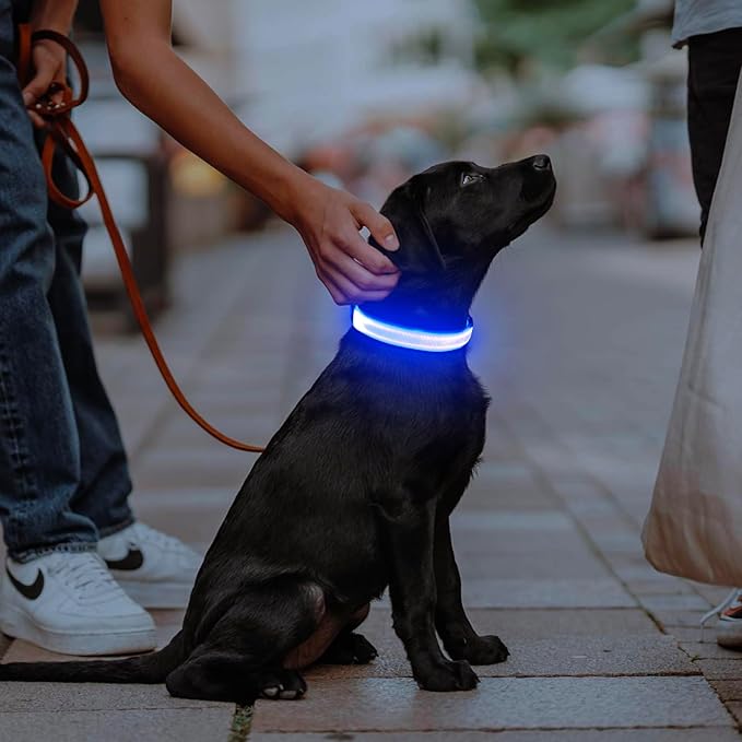 Illumifun LED Dog Collar, USB Rechargeable Light Up Collar Glow in The Dark, Adjustable Safety Pet Light for Your Pups Walking at Night (Blue, Small)