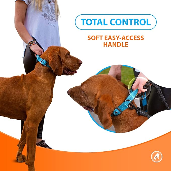 SparklyPets Heavy Duty Dog Collar with Handle for Medium and Large Dogs ??Professional Collar with Reflective Stitches, Soft Handle & Nickel-Plated Buckle (Large (18"~22"), Blue)