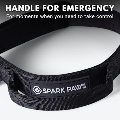 Spark Paws Tactical Dog Collar - Heavy Duty, Premium Quality, Thick and Durable for Large and Medium Dogs - Black - XS - 1"