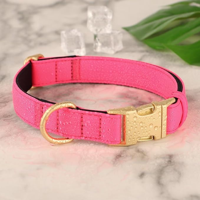 Didog Soft Padded Dog Collars for Medium Dogs, Colorful and Durable Dog Collar with Quick Release Buckle, Light and Breathable for Daily Walking, Pink, M