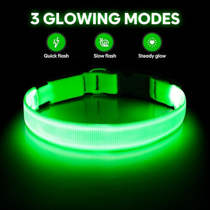 Illumifun LED Collar for Small Dogs, USB Rechargeable Light Up Dog Collar, Flashing Pet Safety Light Glow in The Dark (Green, Small)