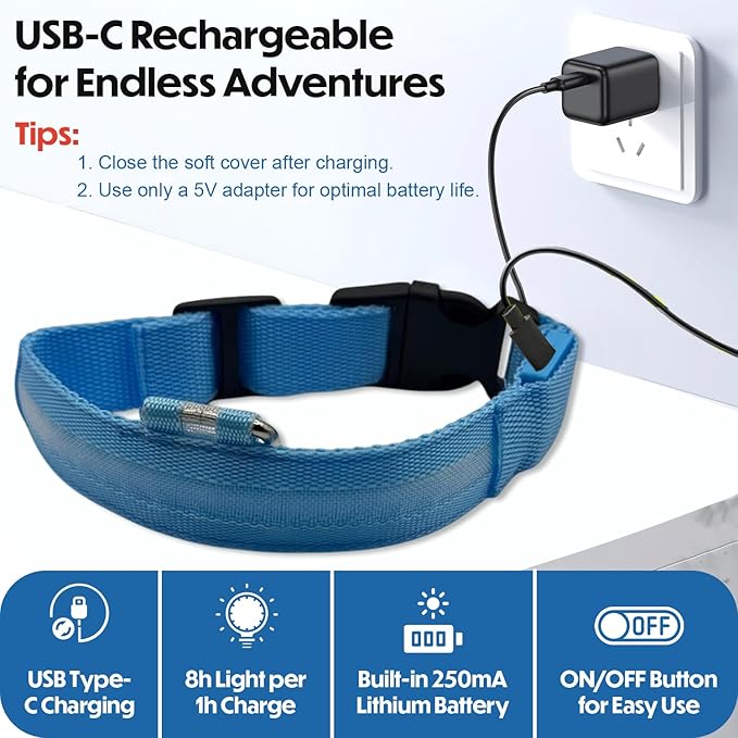 Light Up Dog Collar ??Reflective, Adjustable & Rechargeable Electronic Glow Pet Collars ??Bright, Comfortable, High Visibility LED Dog Collar for Night Safety, Outdoor Walk & Flashing Fun, Blue, Large