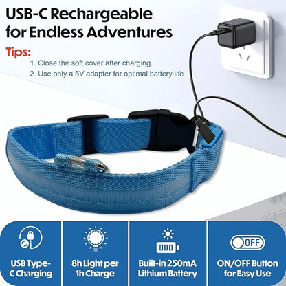 Light Up Dog Collar ??Reflective, Adjustable & Rechargeable Electronic Glow Pet Collars ??Bright, Comfortable, High Visibility LED Dog Collar for Night Safety, Outdoor Walk, Flashing Fun, Blue, Medium