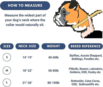Spark Paws Tactical Dog Collar with Handle - Premium Quality Collar, Robust and Durable Design for Large, Strong Breeds - Pitbulls, Labradors, GSD - Snow Cone - L -1.5"