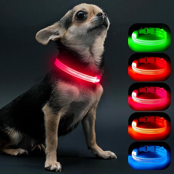 Visinite Light Up Dog Collars for Small Dogs,LED Dog Collar Light Rechargeable,Fully Adjustable Lighted Dog Collar,Glow in The Dark Dog Collars with Dog Lights for Night Walking,Pink