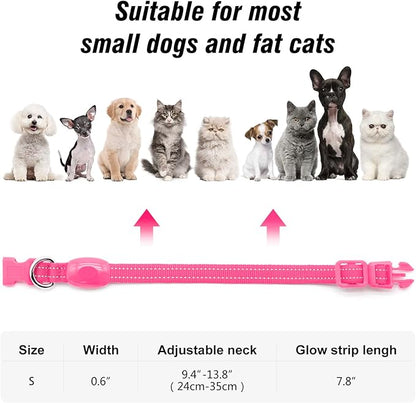 Visinite Light Up Dog Collars for Small Dogs,LED Dog Collar Light Rechargeable,Fully Adjustable Lighted Dog Collar,Glow in The Dark Dog Collars with Dog Lights for Night Walking,Pink