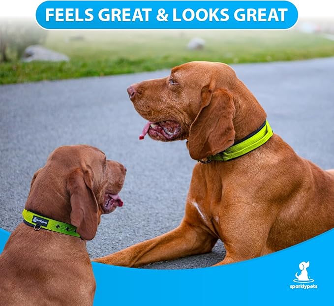 SparklyPets Heavy Duty Dog Collar with Handle for Medium and Large Dogs ??Professional Collar with Reflective Stitches, Soft Handle & Nickel-Plated Buckle (Medium (14,5"~18,5"), Green)