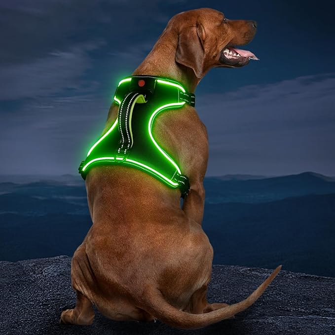 Light Up Dog Harness, No Pull LED Dog Harness with Handle, Rechargeable Lighted Safety Vest for Small Medium Large Dogs, Adjustable Soft Dog Lights for Night Walking