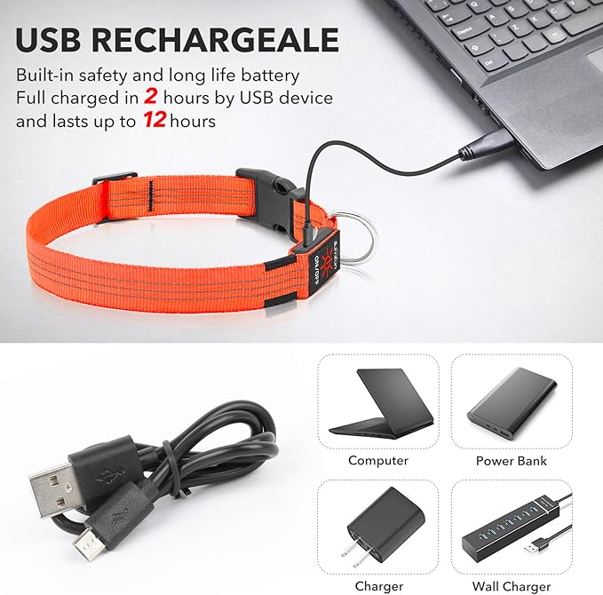 Illumifun USB Rechargeable LED Dog Collar, Light Up Dog Collar for Small Dogs, Reflective Adjustable Safety Dog Collar Lights for Night Walking (Orange?? Small)