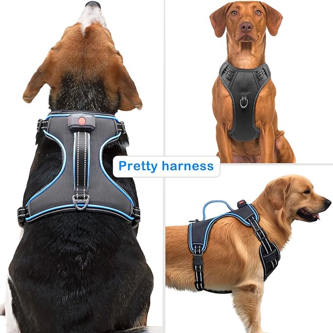 LED Light Dog Harness, X-Large, Black-Blue, No-Pull, Rechargeable, for Large Dogs