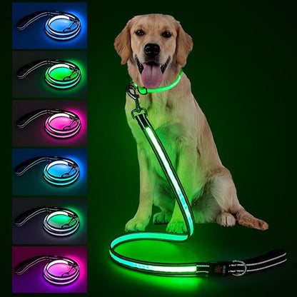 4 Ft LED Dog Leash, Light Up & Lighted Dog Leash, 7 Lighting Modes, Glow in The Dark, Reflective, Double-Sided Light, Rechargeable with Padded Handle for Night Walking Safety, Small to Large Pets