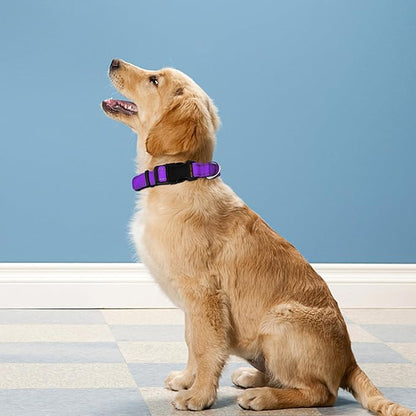 Reflective Dog Collar, Adjustable Soft Neoprene Padded Nylon Pet Collars with Buckle for Puppy and Small Dogs, Cats, Purple,XS