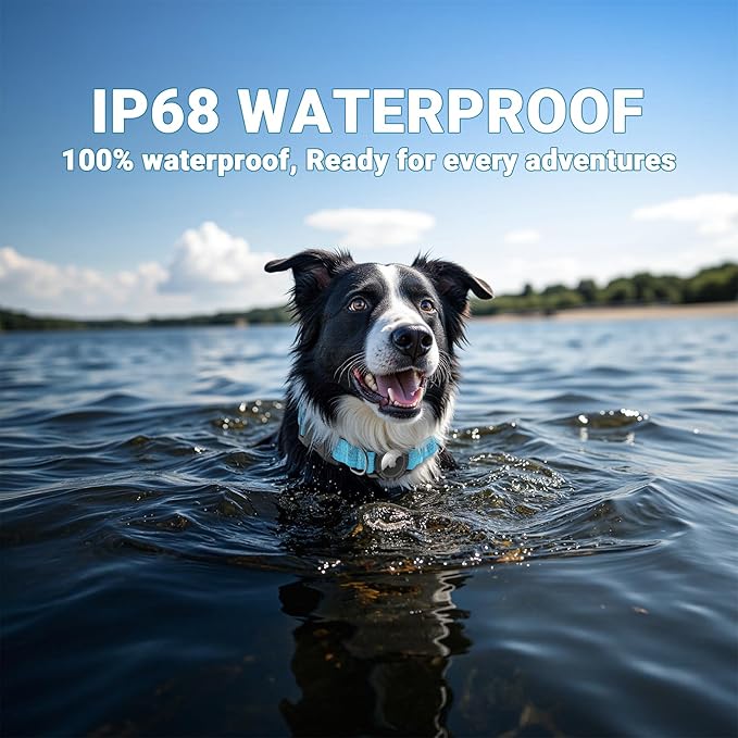 IP68 Waterproof AirTag Dog Collar ??Heavy Duty Reflective Padded Design with Integrated AirTag Holder for Small, Medium & Large Dogs ??Comfortable & Durable, Size M (12.6"-17.1"), Blue