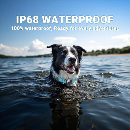 IP68 Waterproof AirTag Dog Collar ??Heavy Duty Reflective Padded Design with Integrated AirTag Holder for Small, Medium & Large Dogs ??Comfortable & Durable, Size M (12.6"-17.1"), Blue