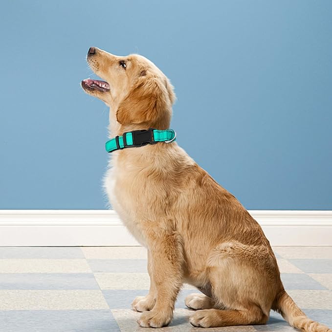 Reflective Dog Collar, Adjustable Soft Neoprene Padded Nylon Pet Collars with Buckle for Large Dogs, Teal,L