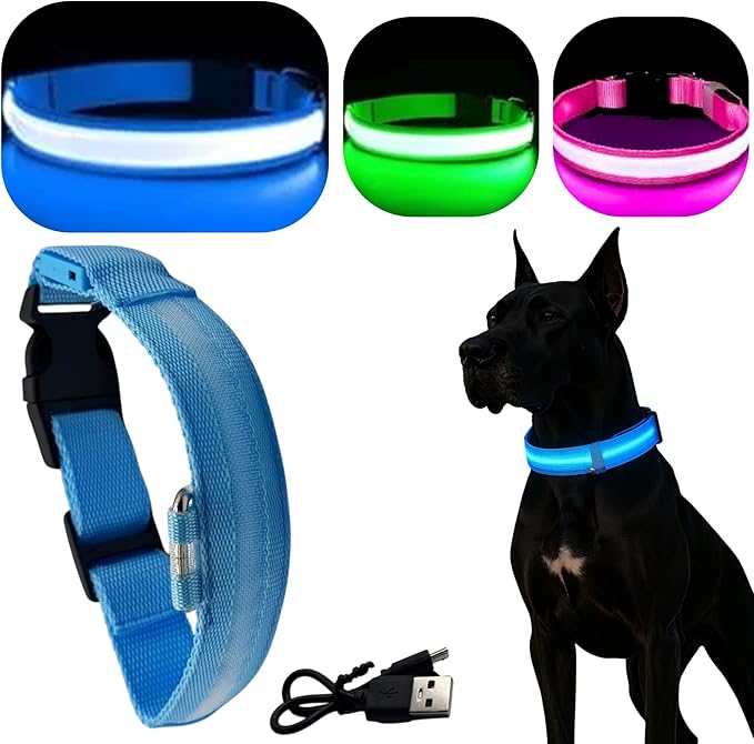 Light Up Dog Collar ??Reflective, Adjustable & Rechargeable Electronic Glow Pet Collars ??Bright, Comfortable, High Visibility LED Dog Collar for Night Safety, Outdoor Walk & Flashing Fun, Blue, Large