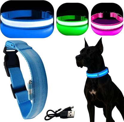 Light Up Dog Collar ??Reflective, Adjustable & Rechargeable Electronic Glow Pet Collars ??Bright, Comfortable, High Visibility LED Dog Collar for Night Safety, Outdoor Walk, Flashing Fun, Blue, Medium