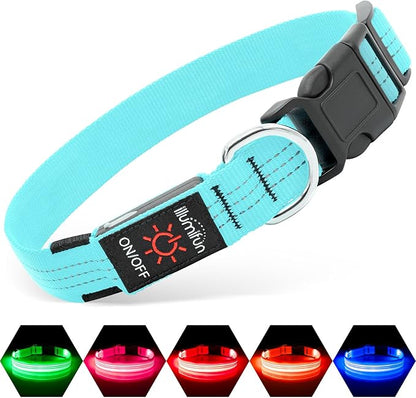 Illumifun LED Dog Collar - USB Rechargeable Dog Light Up Collar, Reflective Pet Collar Light Glow in The Dark (Blue?? Medium)
