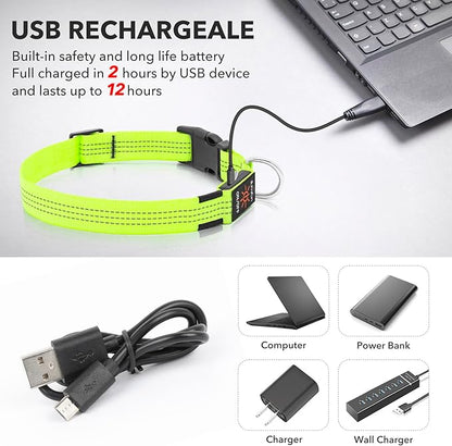 Illumifun Light Up Dog Collar - USB Rechargeable LED Dog Collar, Adjustable Lighted Pet Safety Collar for Night Walking (Green?? Small)