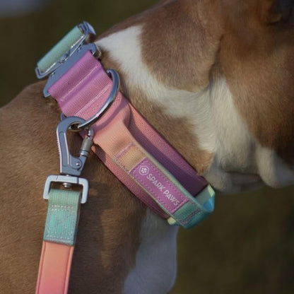 Tactical Dog Collar with Handle - Premium Quality Collar, Robust and Durable Design for Large, Strong Breeds - Pitbulls, Labradors, GSD - Pastel Icing - L