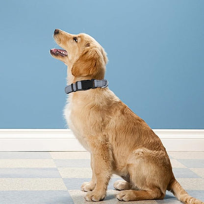Reflective Dog Collar, Adjustable Soft Neoprene Padded Nylon Pet Collars with Buckle for Medium Dogs, Gray,M