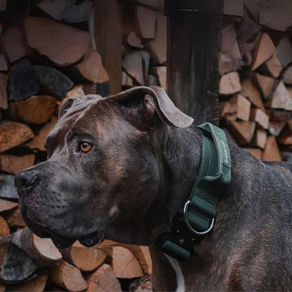 Spark Paws Tactical Dog Collar - Heavy Duty, Premium Quality, Thick and Durable for Large and Medium Dogs - Solid Green - S - 1.5"