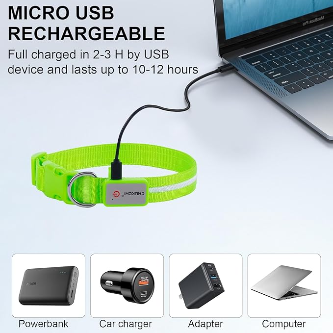 CHUKCHI LED Dog Collar Rechargeable,Waterproof Flashing Collar,Light Up Glow Collar, Adjustable Soft Safety Light Up for Small Medium Large Dogs Walking Camping at Night (Green-S)