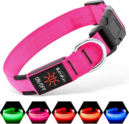 Illumifun LED Dog Collar, USB Rechargeable Light Up Dog Collars, Waterproof Adjustable Safety Collar Light for Small Dogs Walking at Night (Pink, Small)