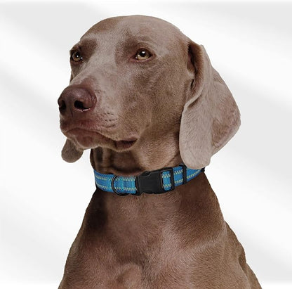 Mile High Life Nylon Night Light Glow Collar, Reflective Light Up Dog Collar, Fluorescent Self-Luminescent Strap for Small Medium Large Dogs (Hot Blue, L Neck15-19)