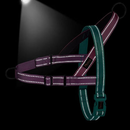 Didog No Pull Dog Harness with Soft Padded Handle, Quick Fit & Lightweight Adjustable Vest Harness, Easy for Training Walking for Small & Medium and Large Dogs(Dark Green,S)