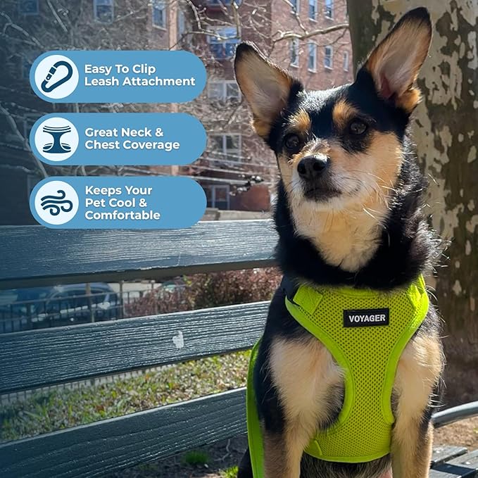 Voyager Step-in Pet Harness - All Weather Mesh, Adjustable Step in Harness for Cats and Dogs by Best Pet Supplies - Lime Green, L