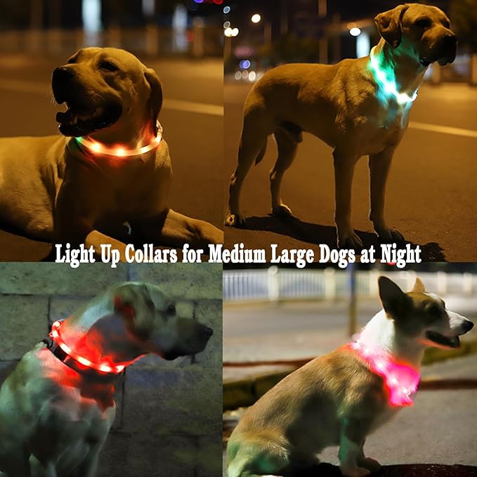 2 Pack LED Dog Collar, Rechargeable Light Up Dog Collars, Dog Collar for Night Walking, Improved Dog Safety & Visibility at Night, 3 Flashing Modes,LED Lights Fits for Small Medium Large Dogs