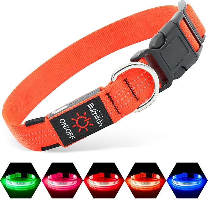 Illumifun LED Dog Collar USB Rechargeable Light Up Dog Collar, Reflective Pet Safety Collar Light Glow in The Dark (Orange?? Medium)