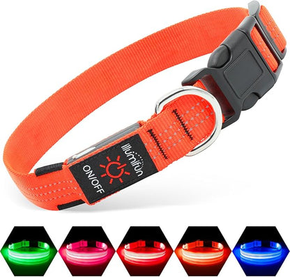 Illumifun LED Dog Collar USB Rechargeable Light Up Dog Collar, Reflective Pet Safety Collar Light Glow in The Dark (Orange?? Medium)