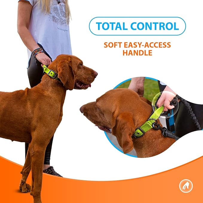 SparklyPets Heavy Duty Dog Collar with Handle for Medium and Large Dogs ??Professional Collar with Reflective Stitches, Soft Handle & Nickel-Plated Buckle (Medium (14,5"~18,5"), Green)